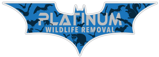 Freeland Animal Removal
